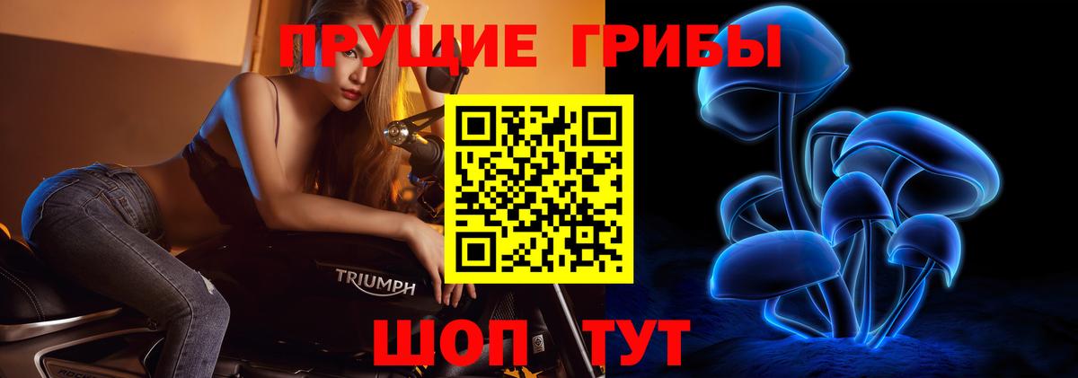 Магадан  купить наркоту  Вход с VPN  Галлюциногенные грибы Cubensis 