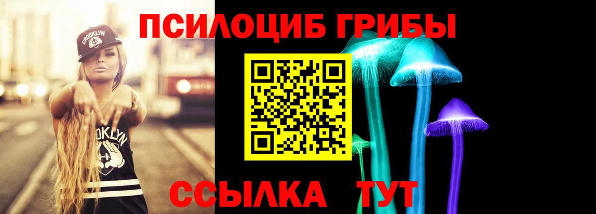 Псилоцибиновые грибы Cubensis Магадан